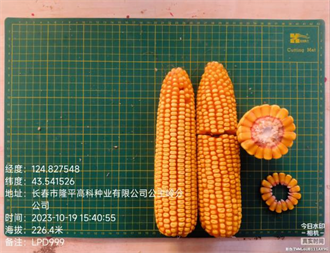 图片55.png